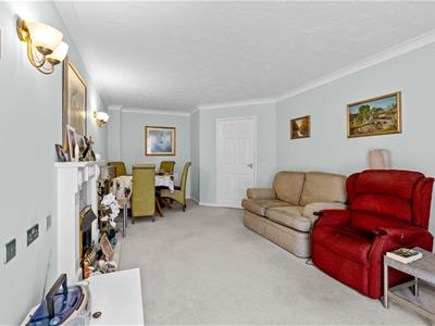 Picture 9